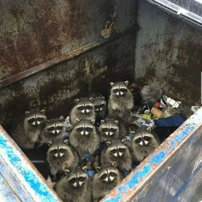 This Instagram Account Is Dedicated To Random Pics That Just Don't Make Any Sense, Here Are 50 Of The Best