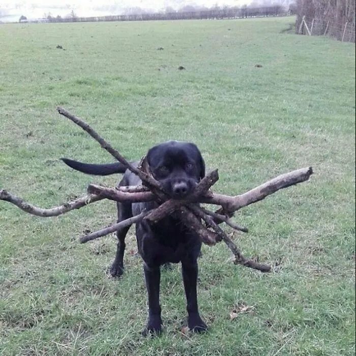 48 Geniales fotos aleatorias que no tienen ningún sentido, compartidas en esta cuenta de instagram