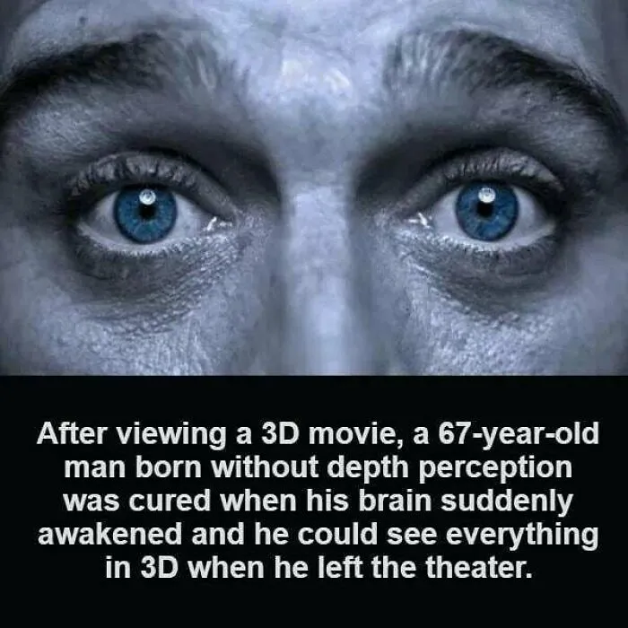 50 Random Facts That Seem Too Hard To Believe Yet Are Completely True, As Shared On This Encyclopedic Instagram Account
