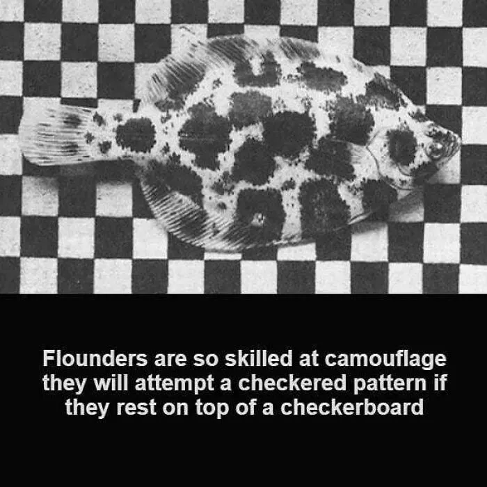 50 Random Facts That Seem Too Hard To Believe Yet Are Completely True, As Shared On This Encyclopedic Instagram Account