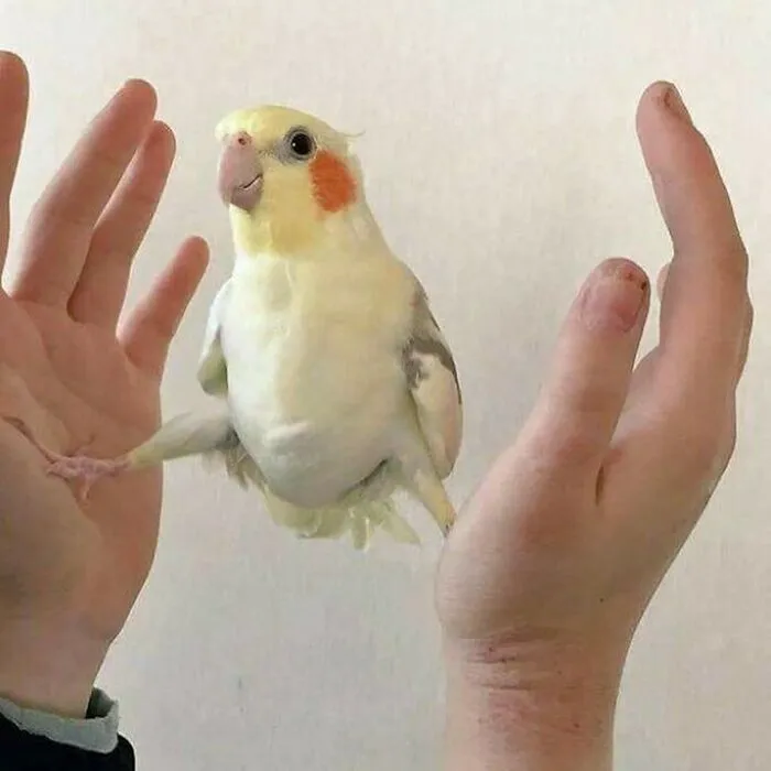 48 Geniales fotos aleatorias que no tienen ningún sentido, compartidas en esta cuenta de instagram