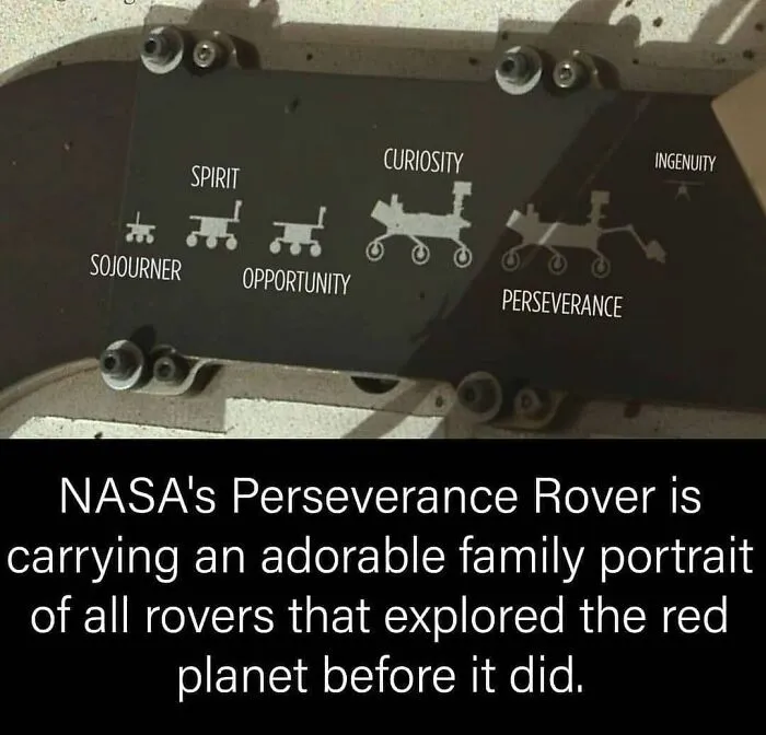 50 Random Facts That Seem Too Hard To Believe Yet Are Completely True, As Shared On This Encyclopedic Instagram Account