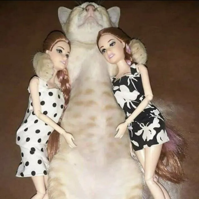 48 Geniales fotos aleatorias que no tienen ningún sentido, compartidas en esta cuenta de instagram
