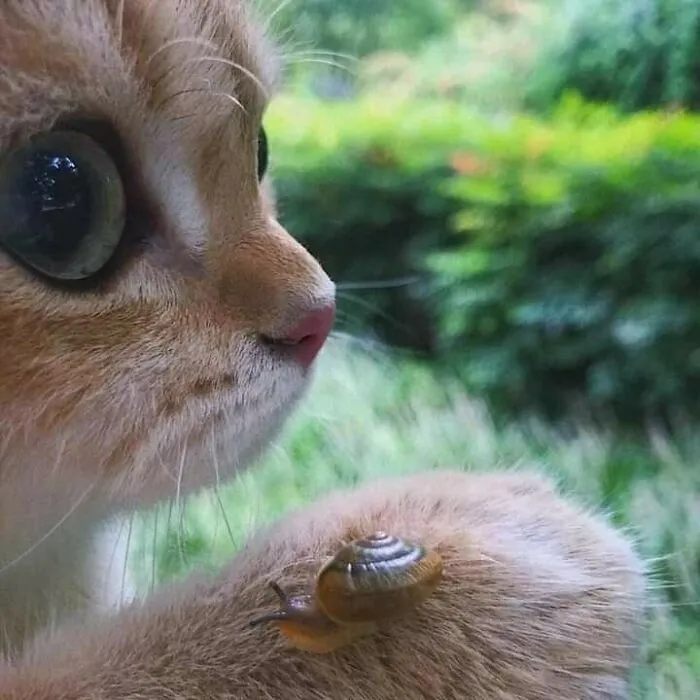50 Fotos absurdas de animales que plantean más preguntas de las que responden (nuevas fotos)