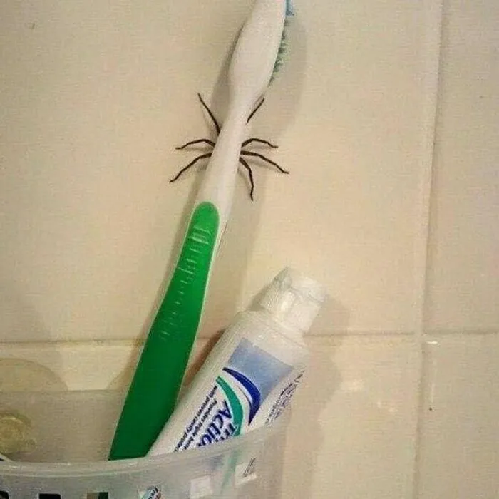 This Instagram Account Is Dedicated To Random Pics That Just Don't Make Any Sense, Here Are 50 Of The Best