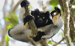 50 Nonsensical Animal Pics That Raise More Questions Than They Answer (New Pics)