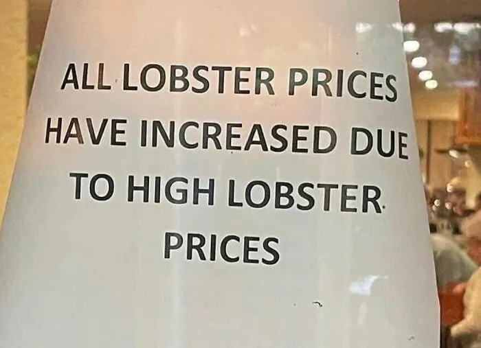 "Not Advertisements But Not Not Advertisements": 50 Funny Memes Without Context