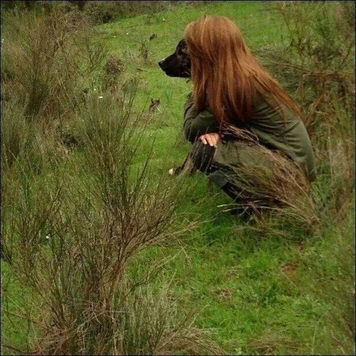 50 Fotos absurdas de animales que plantean más preguntas de las que responden (nuevas fotos)