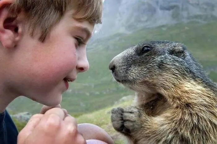 50 Fotos absurdas de animales que plantean más preguntas de las que responden (nuevas fotos)