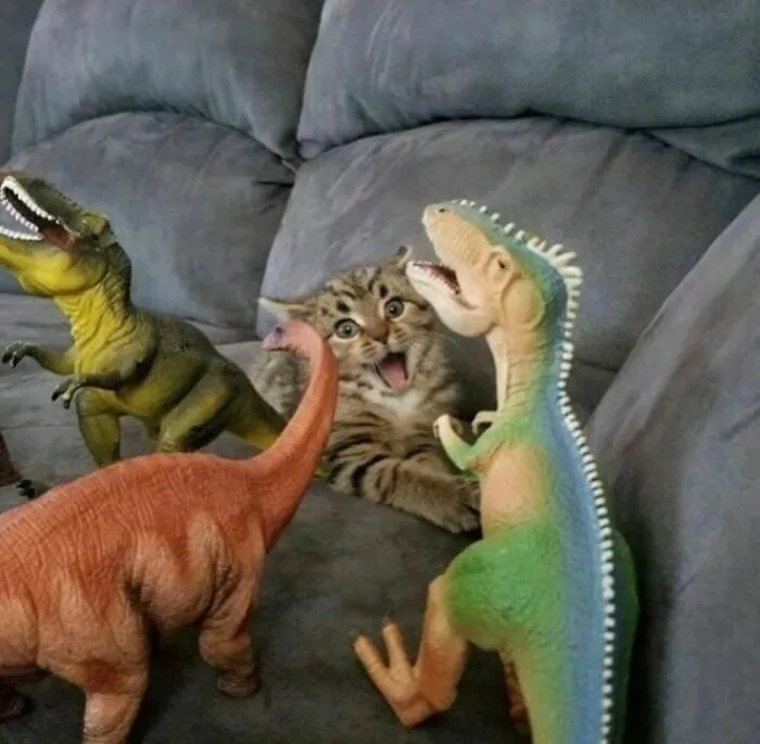 30 Animales graciosos que te alegrarán el día (nuevas fotos)
