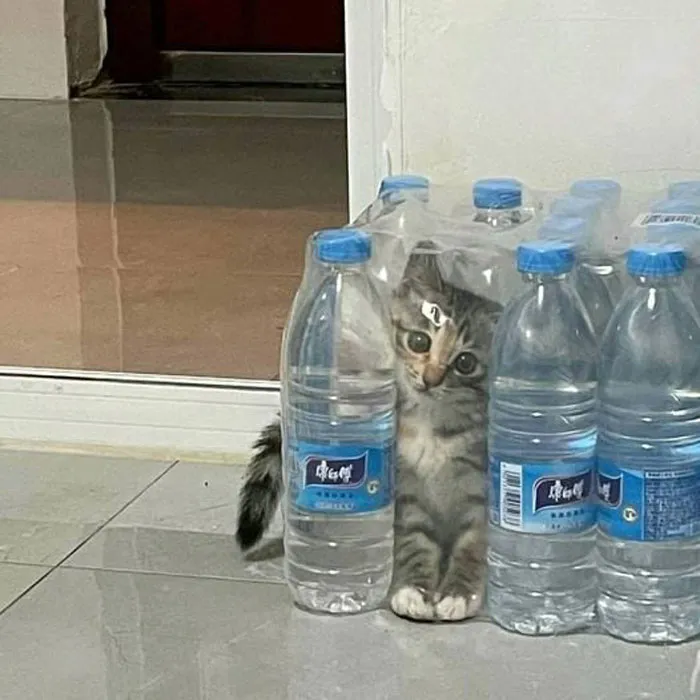 No se olviden de tomar agua