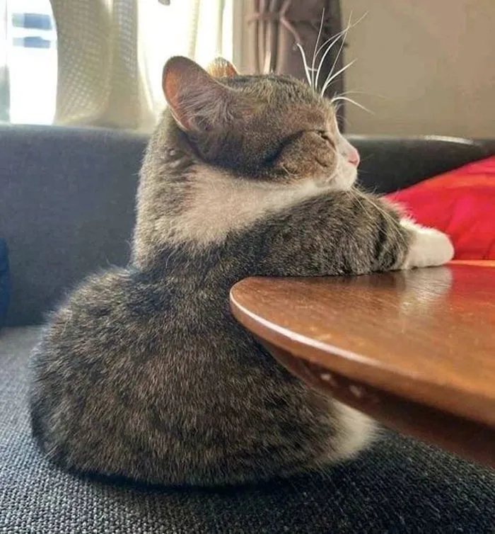 Estoy cansado de esperar