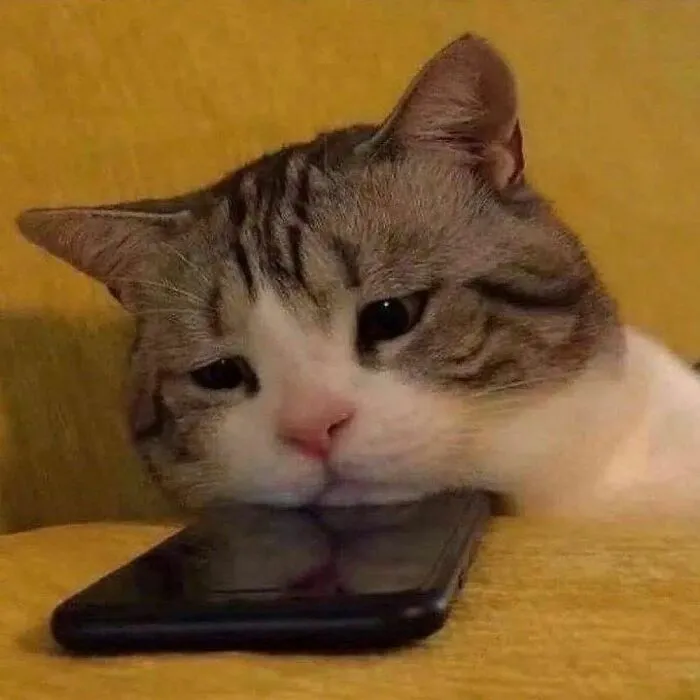 Supongo que otra vez debe tener problemas con la internet