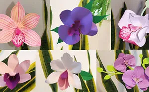 My Paper-Craft Orchid Designs