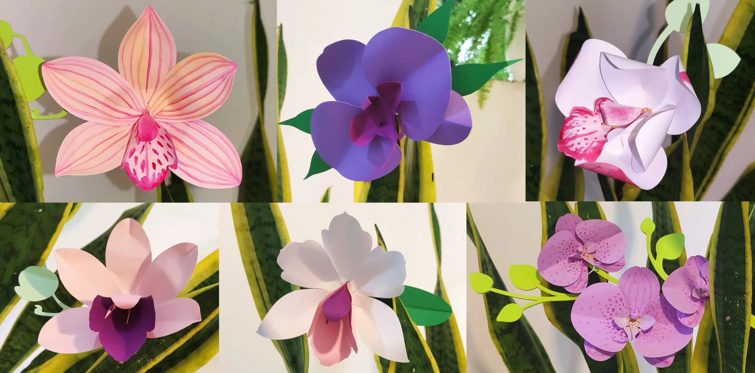 My Paper-Craft Orchid Designs