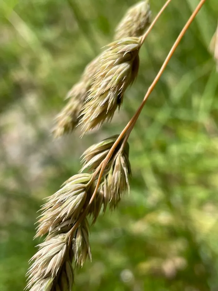 I Made A Small Collection Of My Nature Photography (18 Pics)