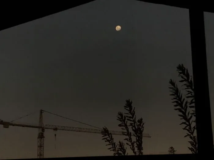 The Full Moon