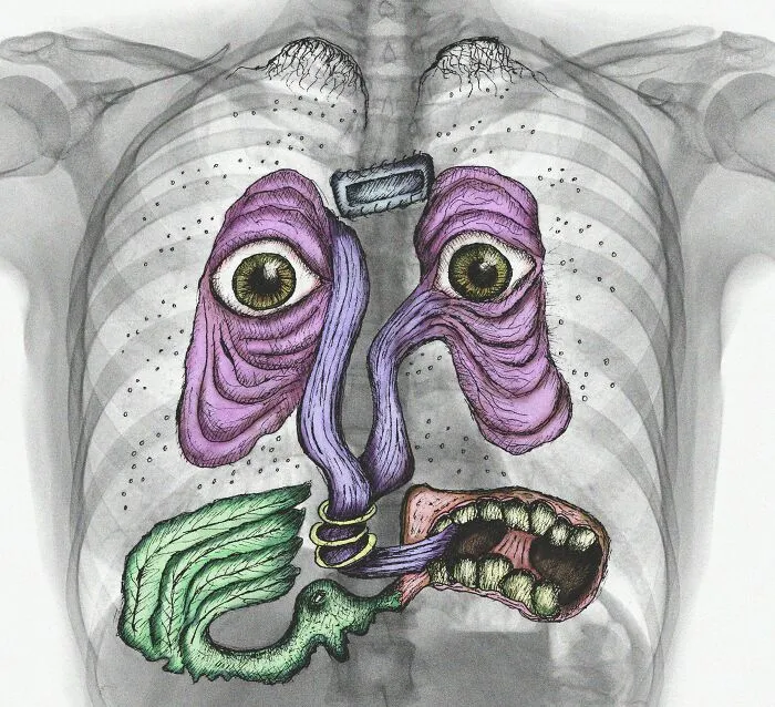Spiritus Oculi