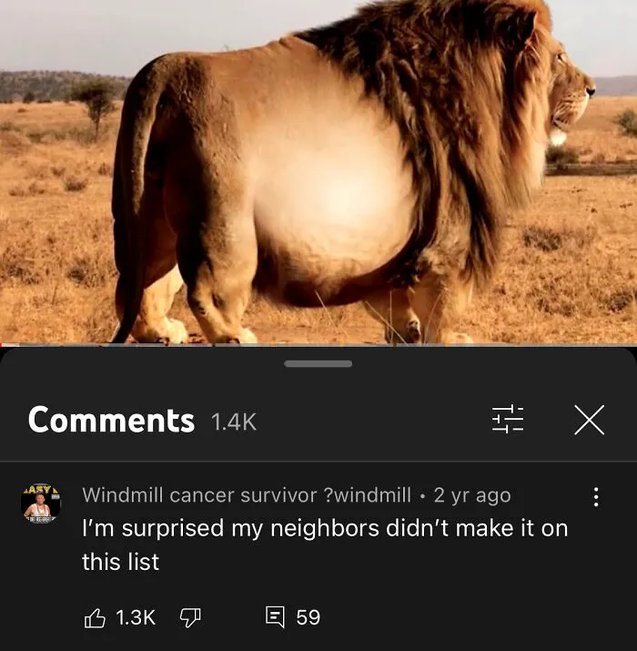 Top 10 Fattest Wild Animals Ever Seen