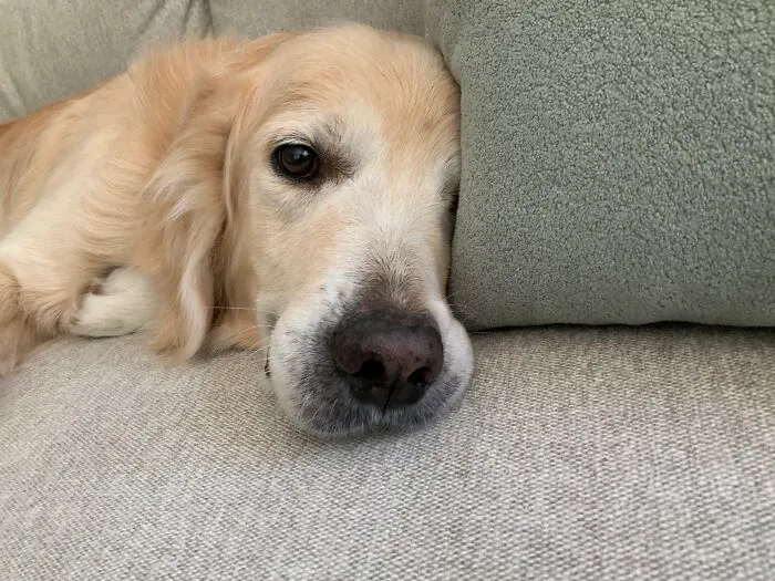 Sam Being Adorably Happ!