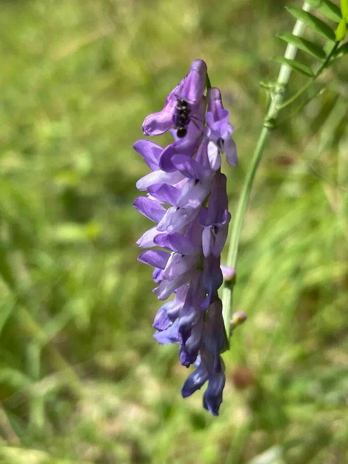 I Made A Small Collection Of My Nature Photography (18 Pics)