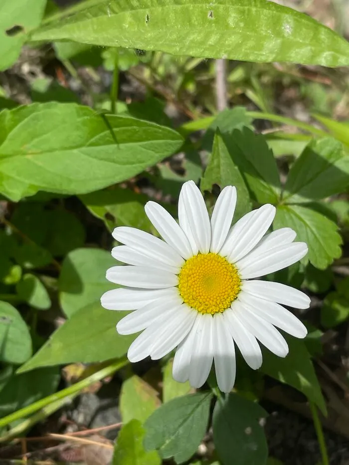I Made A Small Collection Of My Nature Photography (18 Pics)