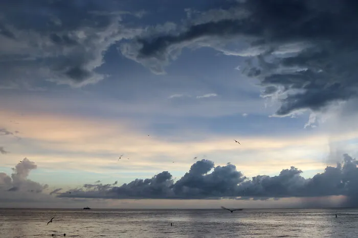 All Shades Of Blue