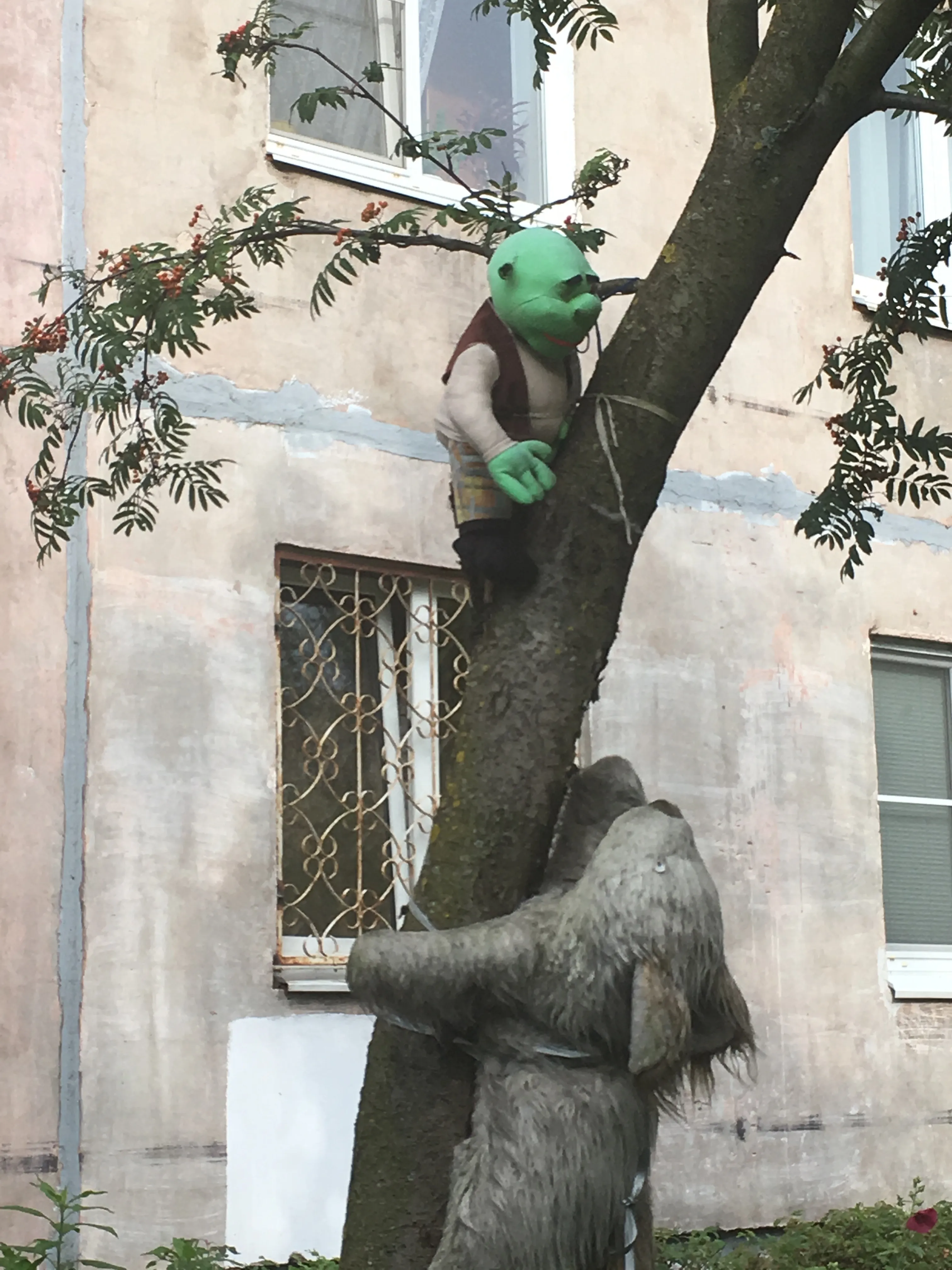 Hey Pandas, Post A Cursed Picture You Took