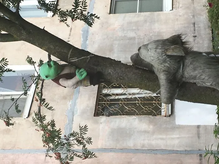 It’s Common For Old People To Decorate Their Front Yards With Some Old Stuff In The Place Where I Live. Here’s A Rather Odd Example: