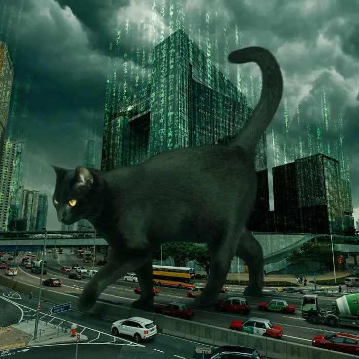 Artist Offers A New Perspective On Hong Kong Through His 60 Surreal Images (New Pics)