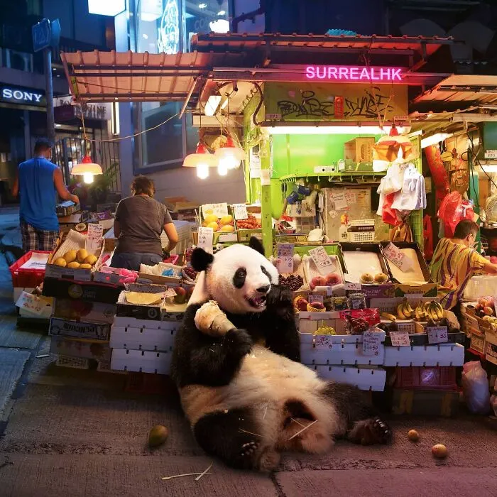 Artist Offers A New Perspective On Hong Kong Through His 60 Surreal Images (New Pics)