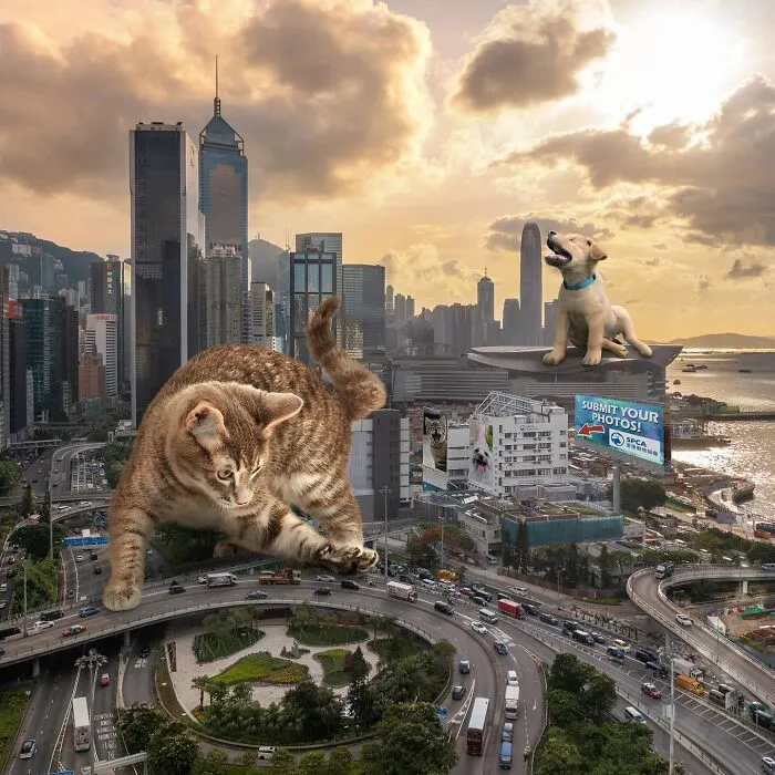 Artist Offers A New Perspective On Hong Kong Through His 60 Surreal Images (New Pics)