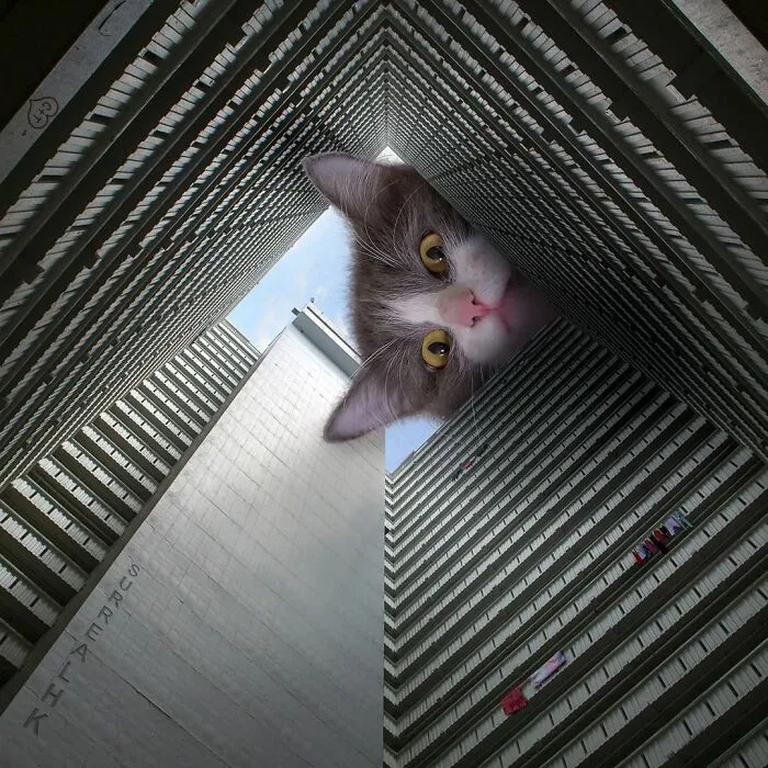 Artist Offers A New Perspective On Hong Kong Through His 60 Surreal Images (New Pics)