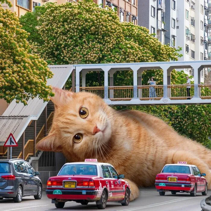 Artist Offers A New Perspective On Hong Kong Through His 60 Surreal Images (New Pics)
