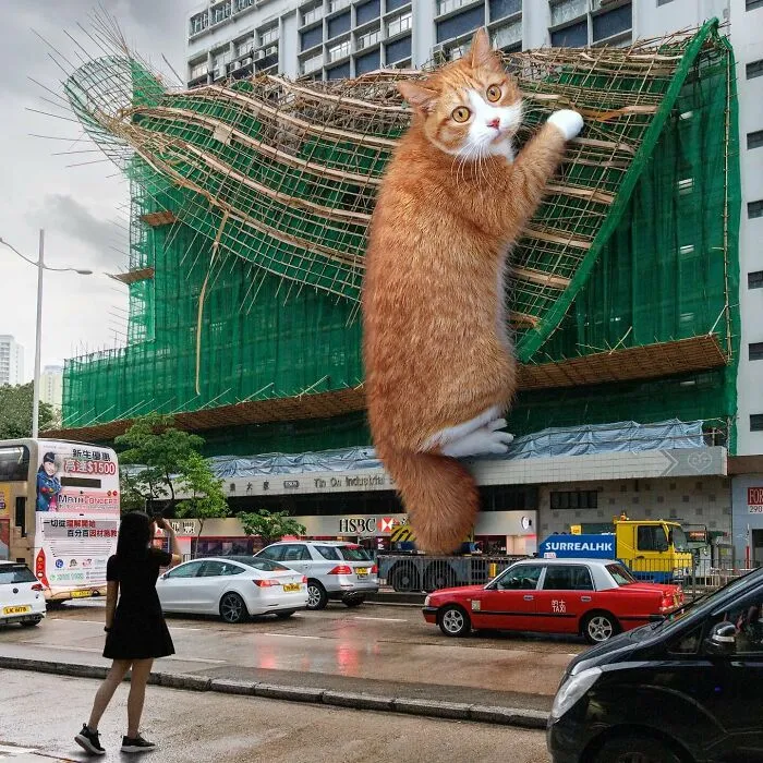 Artist Offers A New Perspective On Hong Kong Through His 60 Surreal Images (New Pics)