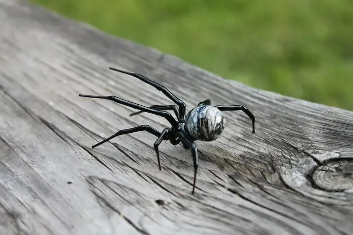 I Am A Ukrainian Artist, Who Can Make Glass Spiders Of Any Kind, Even Those That Exist Only In The Movies