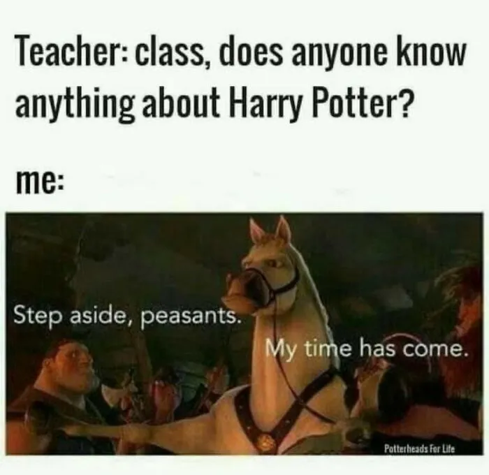 Harry Potter