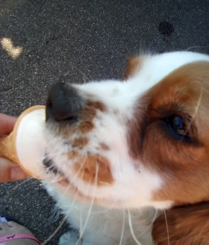 Ice Cream Bliss