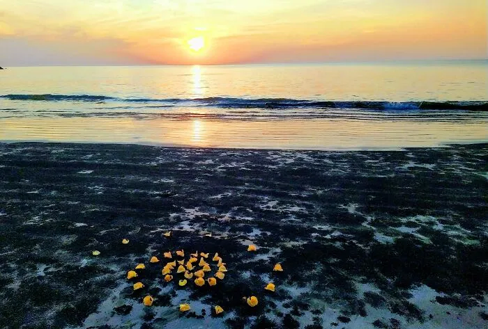 Thailand ✨💛✨