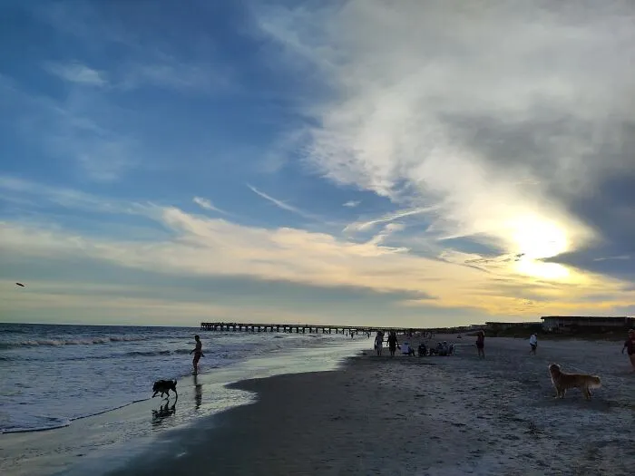 Isle Of Palms Sc, Took A Trip There To Celebrate Getting My Very First Paycheck