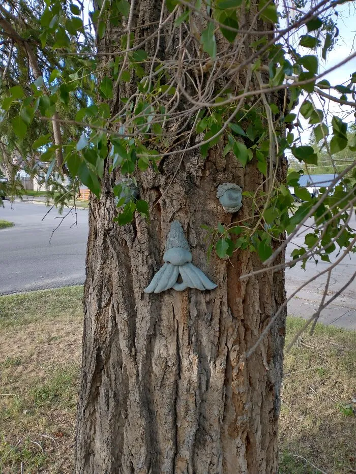 Do Magic Trees Count?