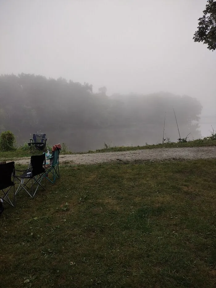 Man It's Foggy