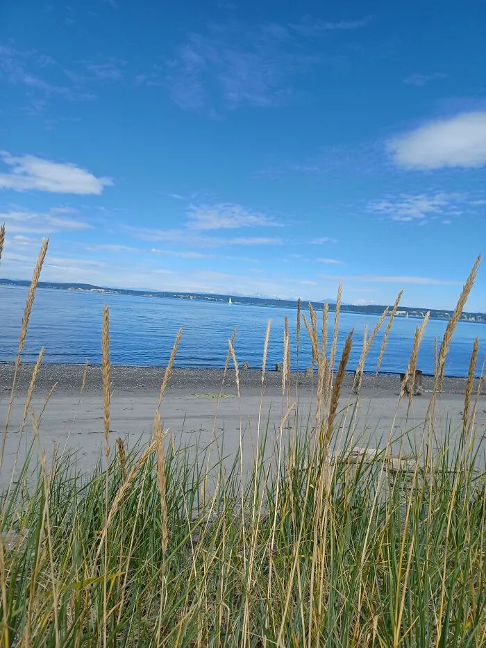 Kitsap Peninsula, Washington, USA