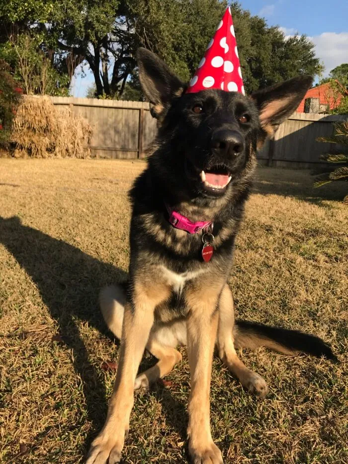 Birthday Girl!! 🎂🎈