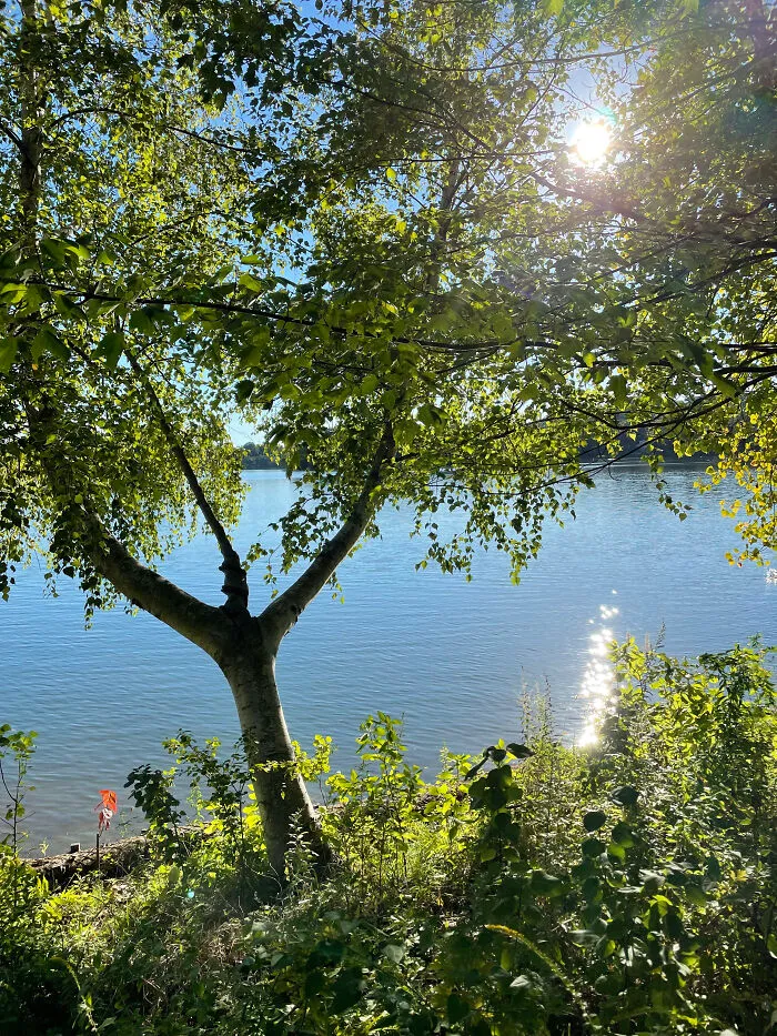 Enjoying Nature