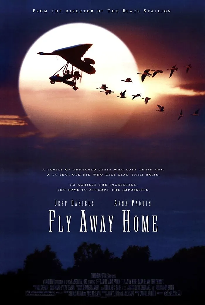 Volando Libre (1996)