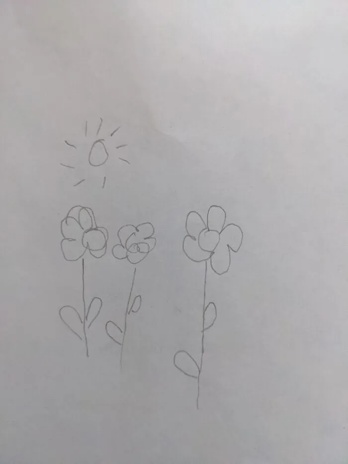 They Are Supposed To Be Simple Flowers And A Sun