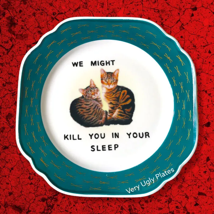 My 30 Ridiculous Plate Designs That Combine Class With Sass