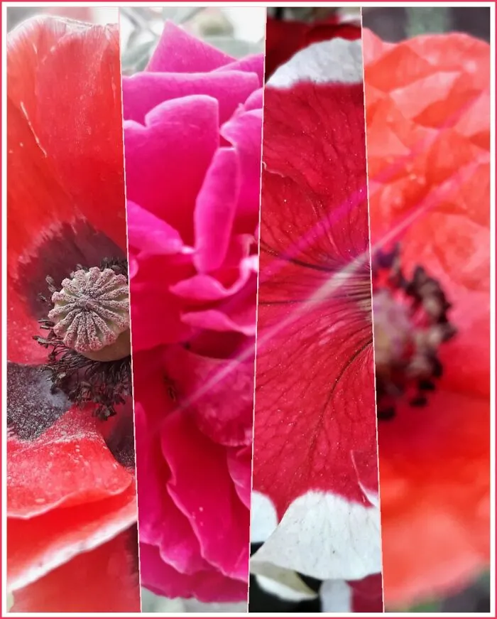 Flower Power