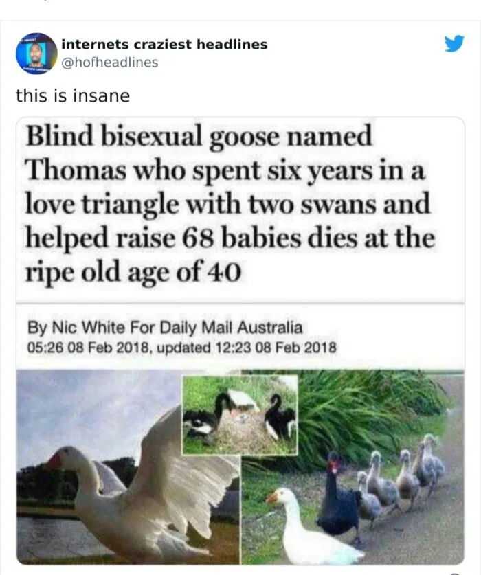 He Lived His Best Life